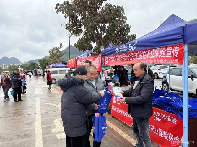 灾害无情人有情,农业保险暖人心!太平洋产险融水支公司喜获农户送锦旗